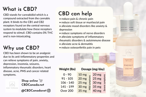 What is CBD and how to use it?